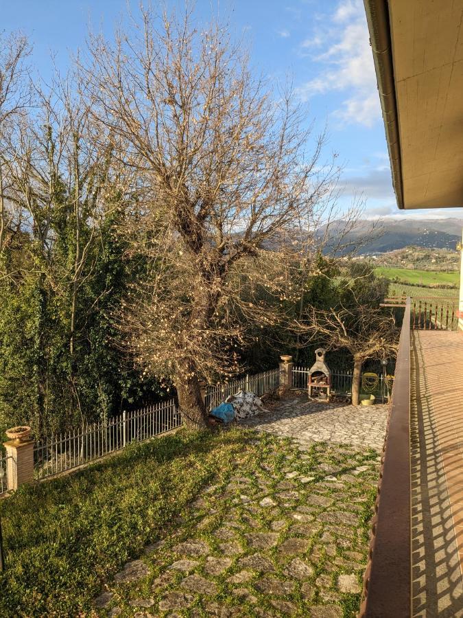 Villa Pacchini Poggio Mirteto Номер фото